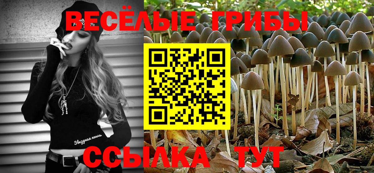 Псилоцибиновые грибы Psilocybine cubensis  Вход с VPN  Ростов-на-Дону 