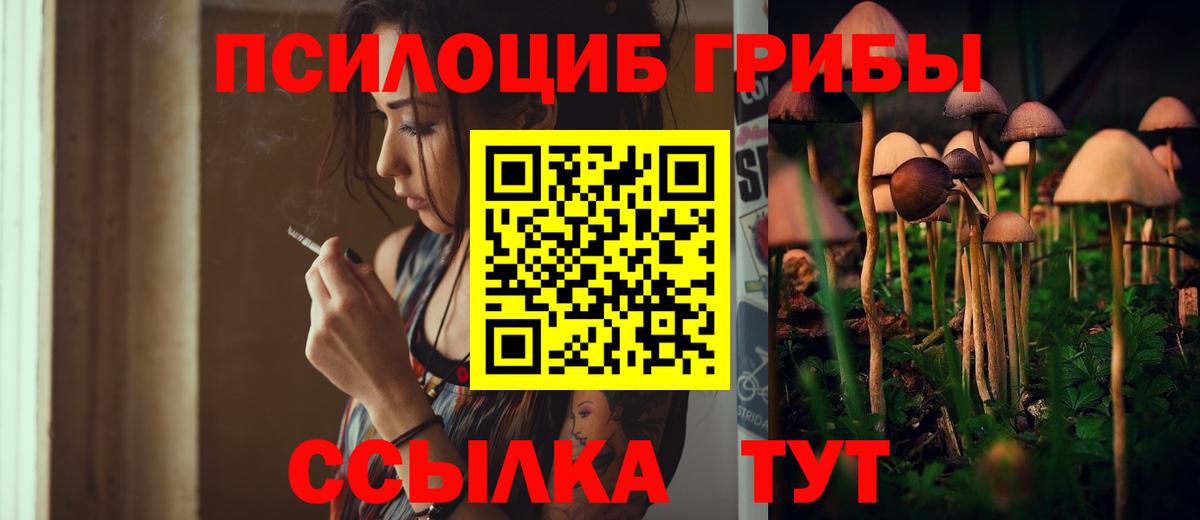 Галлюциногенные грибы мицелий Ростов-на-Дону