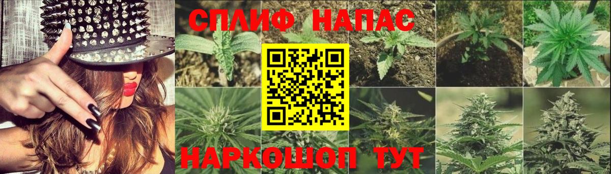 Канабис ГИДРОПОН  Шишки марихуана конопля  Ростов-на-Дону  Шишки марихуана THC 21%  Вход с VPN 